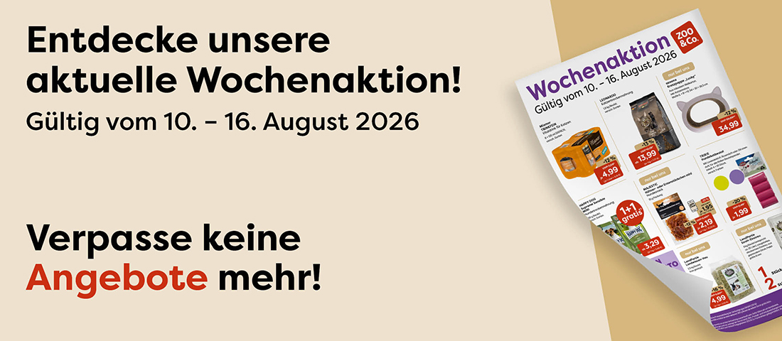 Entdecke unsere Wochenaktion