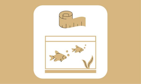 Schlüssel über Aquarium mit Fischen und Wasserpflanzen